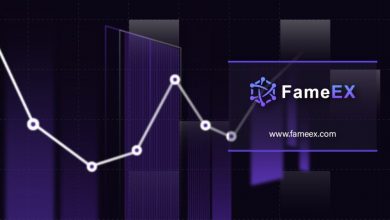 fameex-leads-the-way-in-simplifying-crypto-trading-amidst-market-expansion