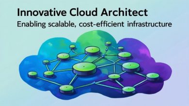 naseer-mohammed:-innovative-cloud-architect-enabling-scalable,-cost-efficient-infrastructure