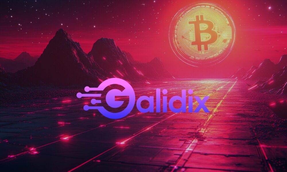 galidix-expands-support-team,-boosting-customer-capabilities